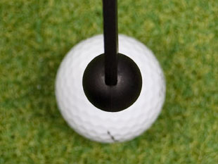 SteadiHead Swing Training Aid