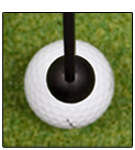 Steadihead Swing Training Aid