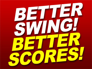 SteadiHead Swing Training Aid